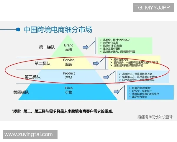 深入分析TES战队的运营策略与战术布局解析