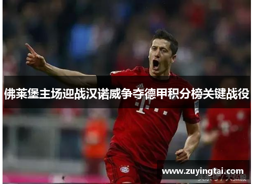 佛莱堡主场迎战汉诺威争夺德甲积分榜关键战役