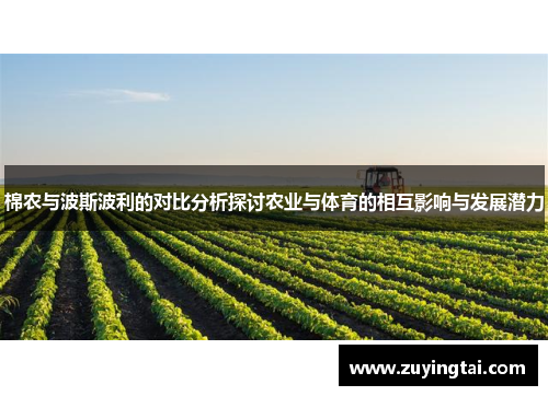 棉农与波斯波利的对比分析探讨农业与体育的相互影响与发展潜力