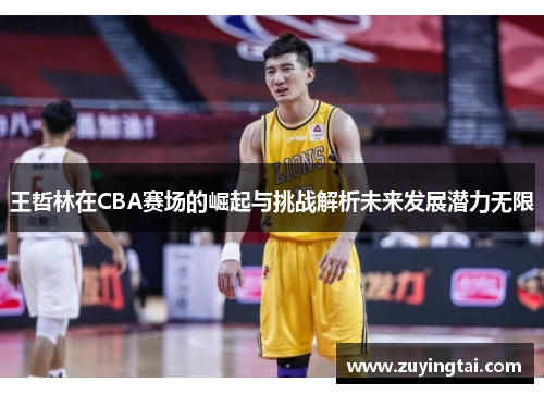 王哲林在CBA赛场的崛起与挑战解析未来发展潜力无限
